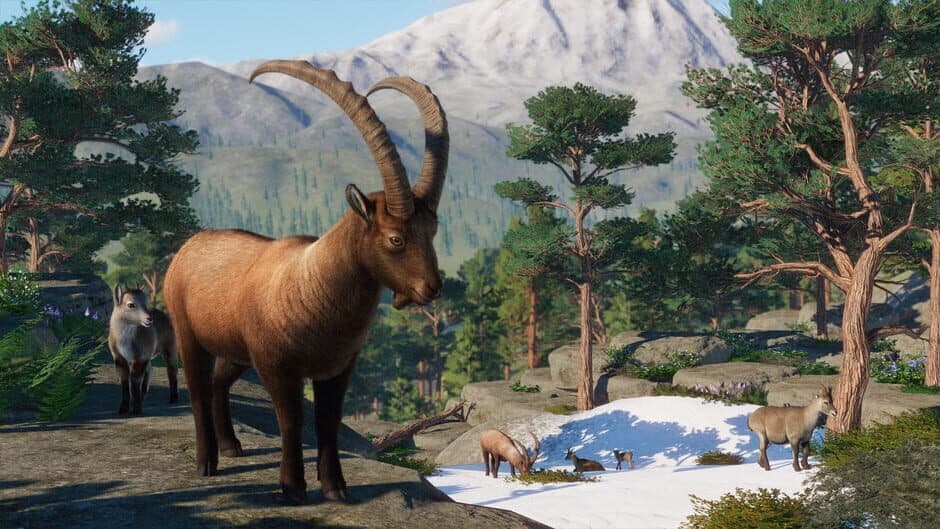 Скриншот 8 из Planet Zoo: Europe Pack