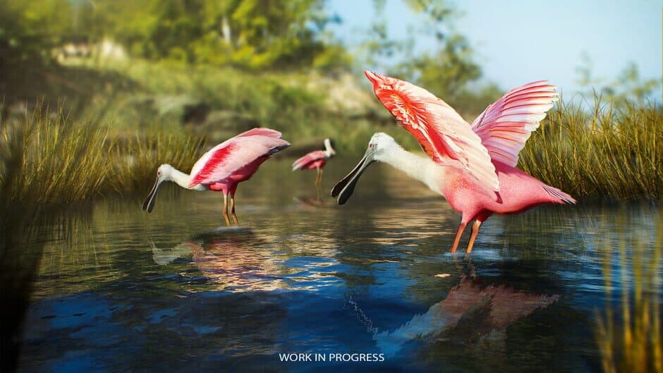 Скриншот 3 из Birding Simulator