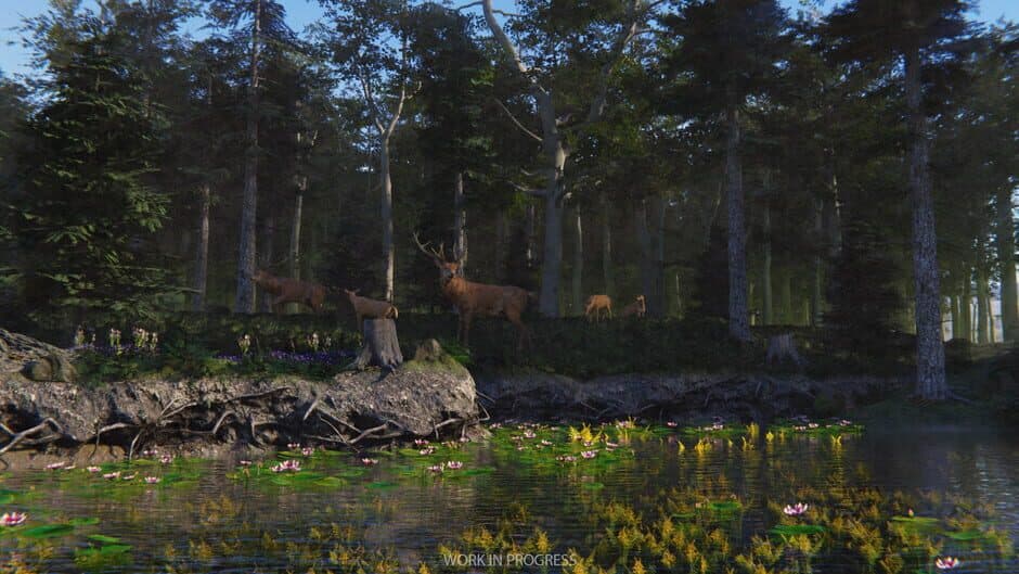 Скриншот 4 из Birding Simulator