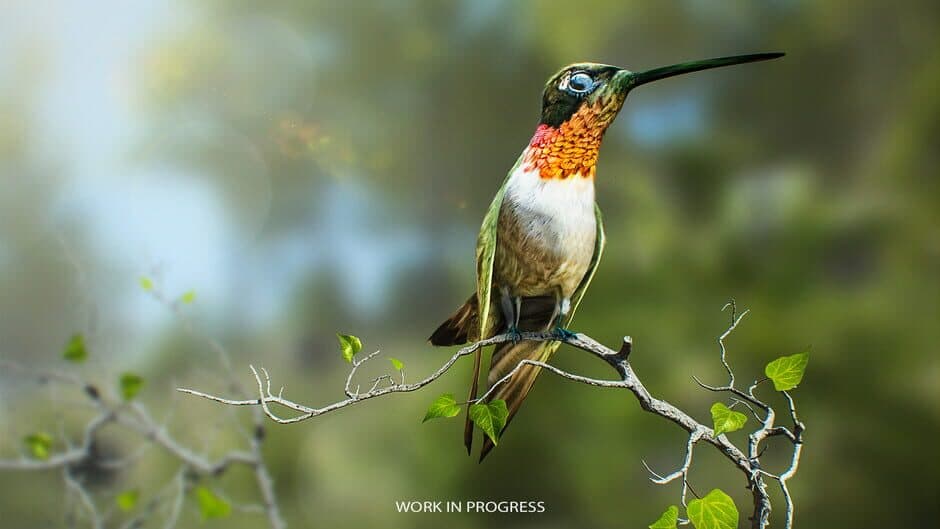 Скриншот 5 из Birding Simulator