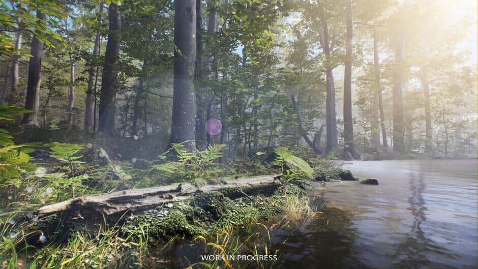 Скриншот 8 из Birding Simulator