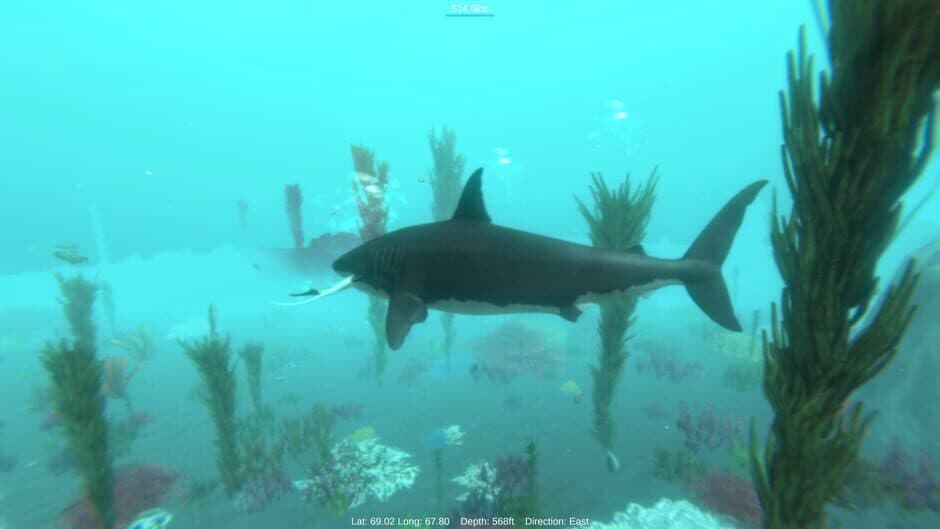 Скриншот 3 из Alpha Shark
