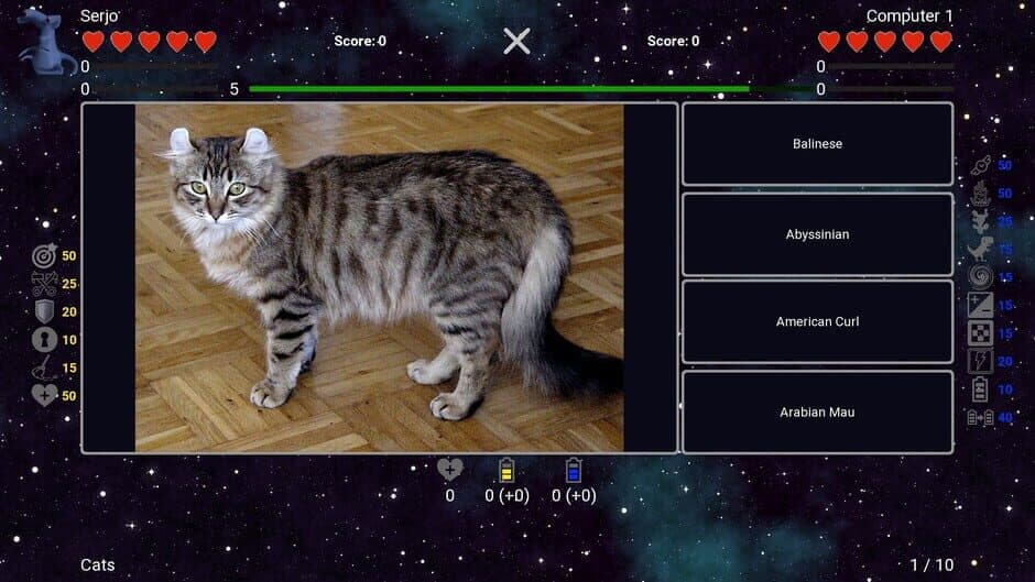 Скриншот 2 из I've Seen Everything: Cats