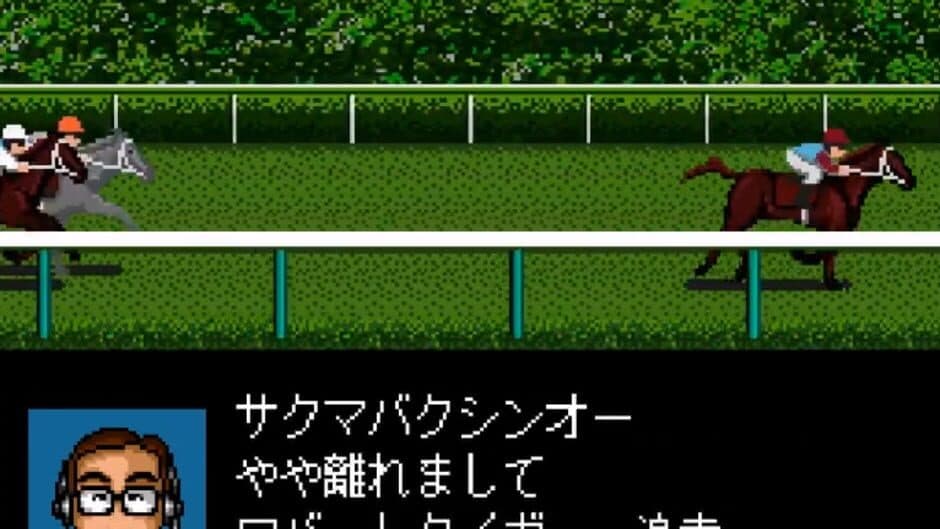 Скриншот 1 из Derby Stallion Expert Kit