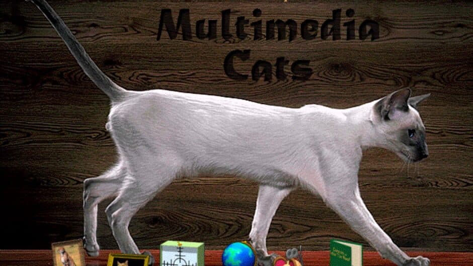 Скриншот 1 из Multimedia Cats