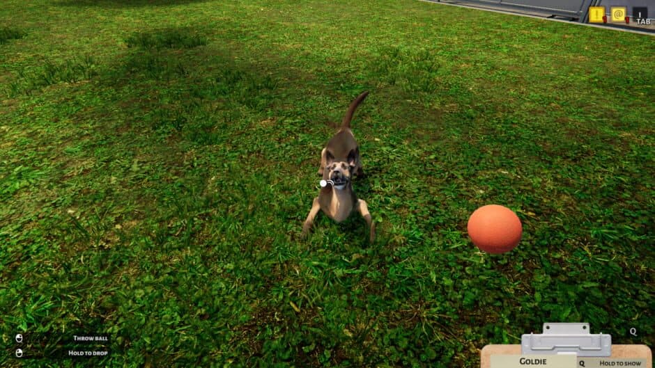Скриншот 1 из Animal Shelter Simulator
