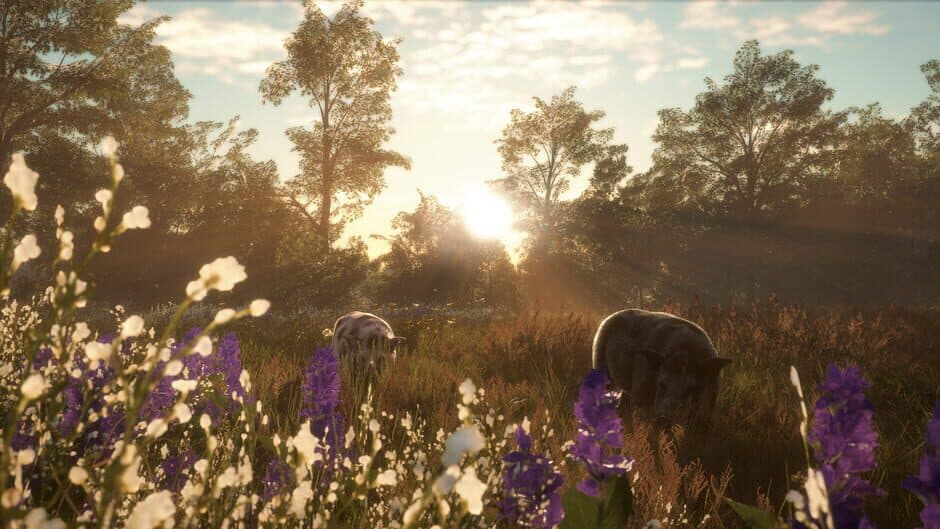 Скриншот 2 из TheHunter: Call of the Wild - Mississippi Acres Preserve