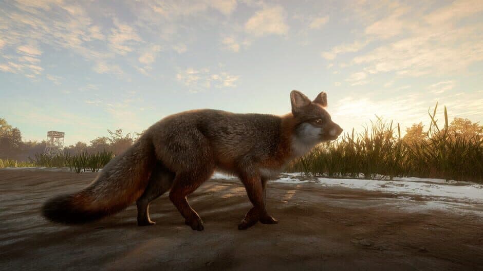 Скриншот 4 из TheHunter: Call of the Wild - Mississippi Acres Preserve