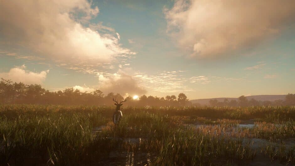 Скриншот 7 из TheHunter: Call of the Wild - Mississippi Acres Preserve