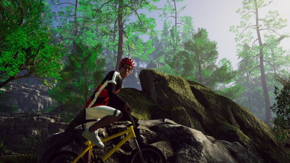 Скриншот 3 из Bicycle Rider Simulator