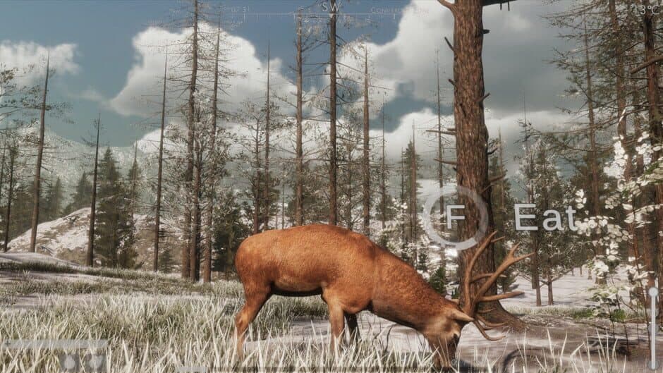 Скриншот 2 из The Wilds