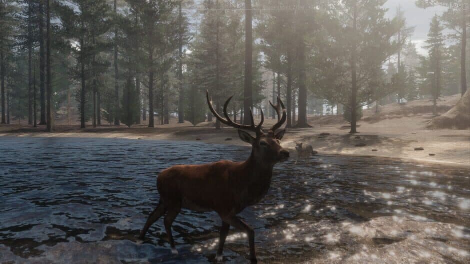 Скриншот 4 из The Wilds