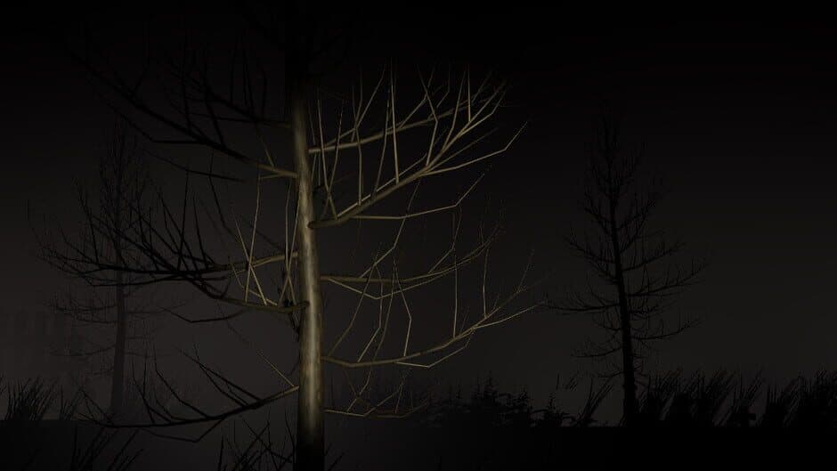 Скриншот 1 из Mysterious Night: The First Night