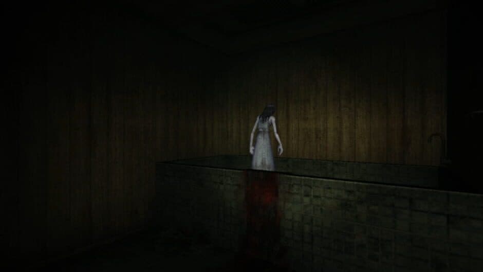 Скриншот 9 из Ikenie no Yoru