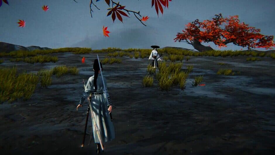 Скриншот 2 из Duel of Sword