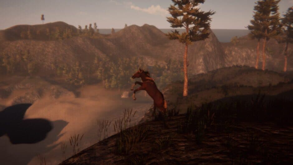 Скриншот 2 из Horse and Go Seek
