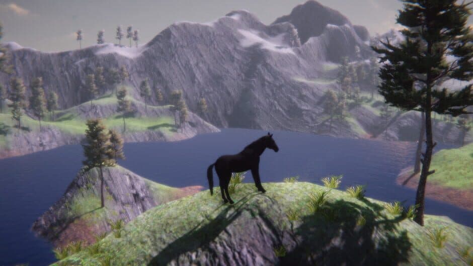 Скриншот 6 из Horse and Go Seek