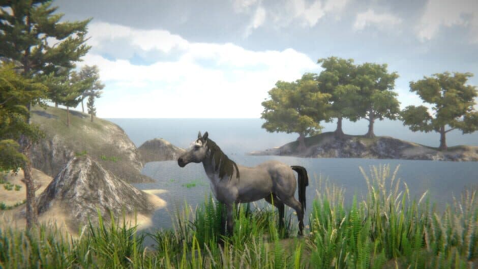Скриншот 8 из Horse and Go Seek