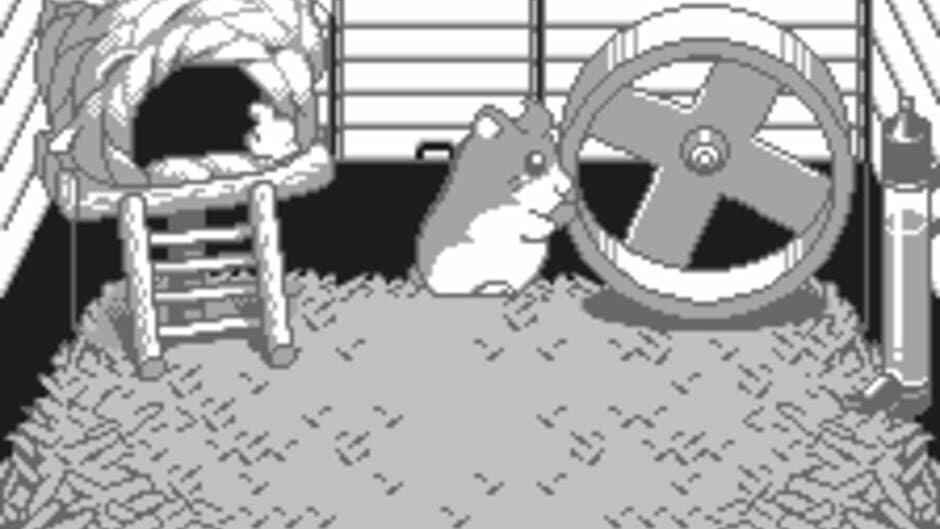 Скриншот 1 из Dokodemo Hamster