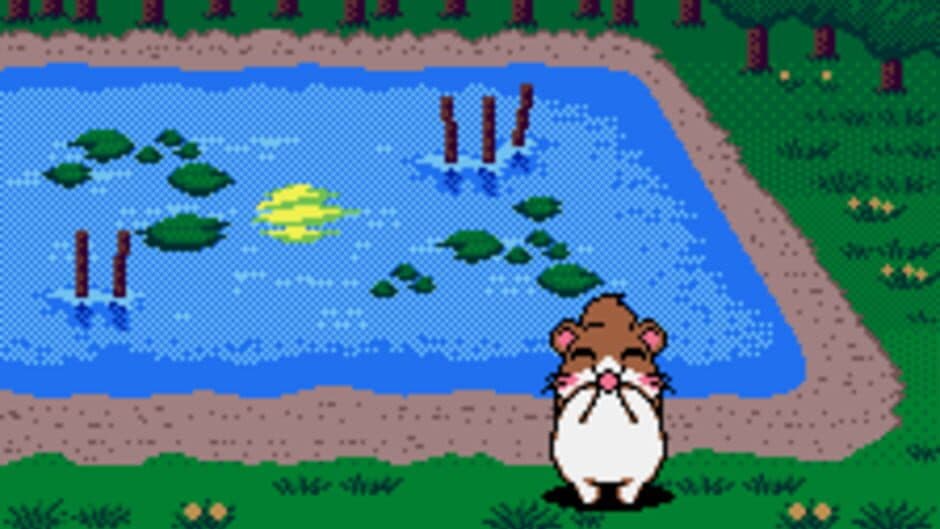 Скриншот 3 из Dokodemo Hamster 3: O Dekake Safuran