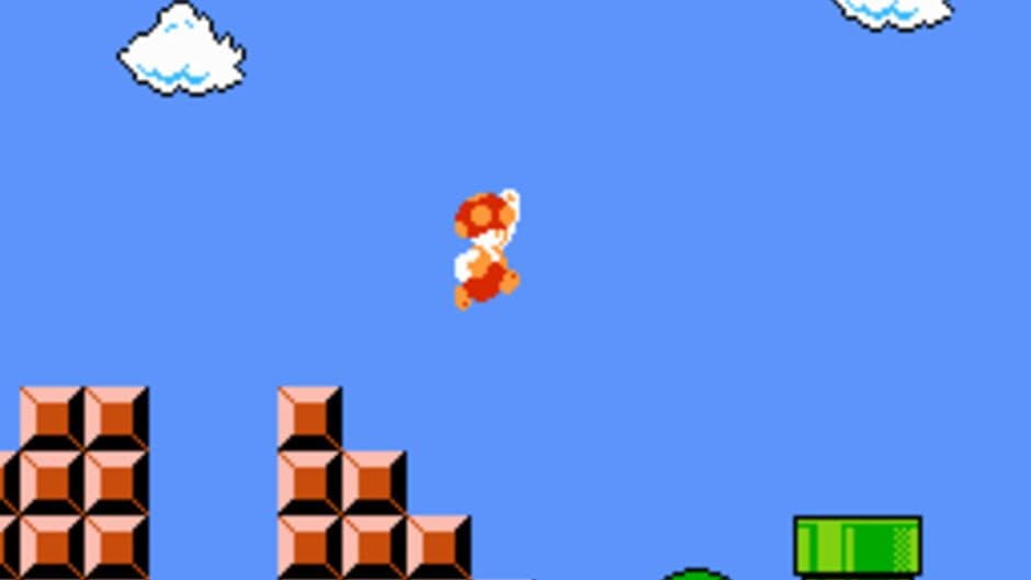Скриншот 3 из Toad in SMB1