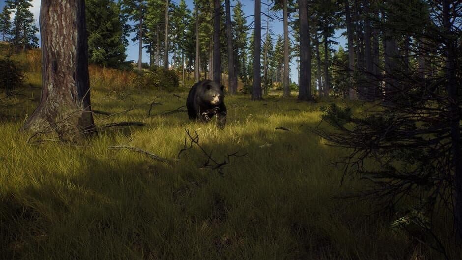 Скриншот 3 из Way of the Hunter
