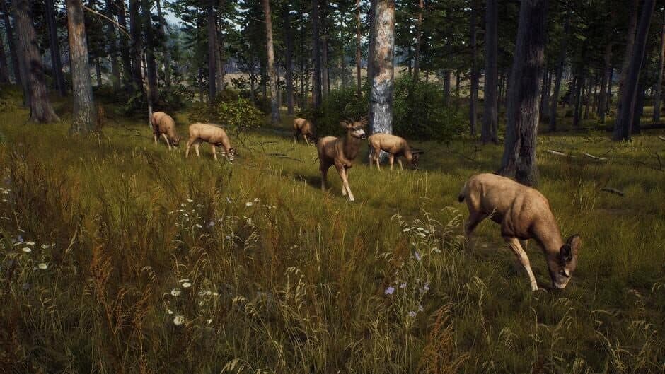 Скриншот 4 из Way of the Hunter