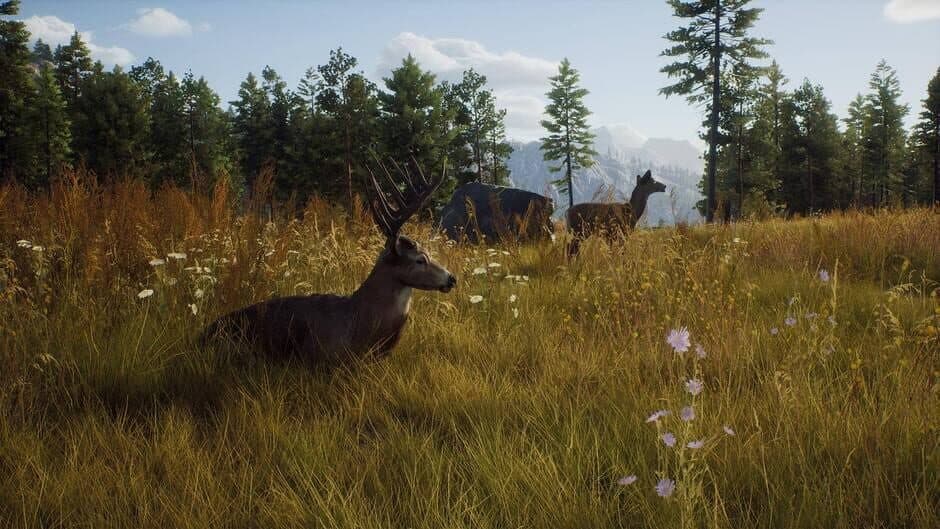 Скриншот 5 из Way of the Hunter