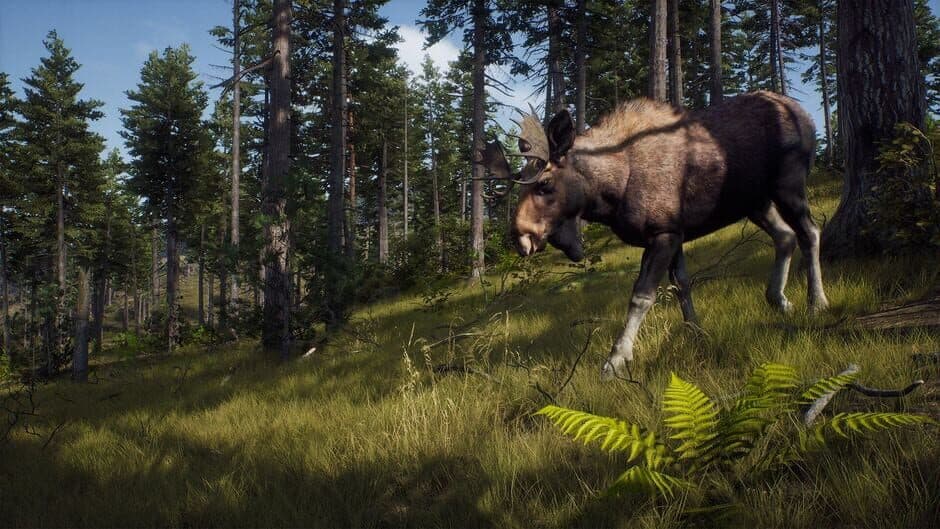 Скриншот 6 из Way of the Hunter