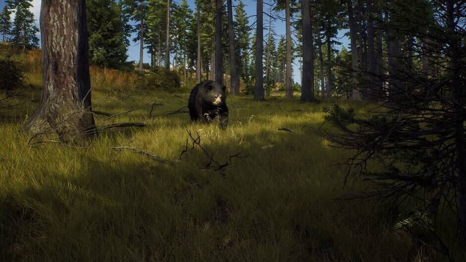 Скриншот 9 из Way of the Hunter