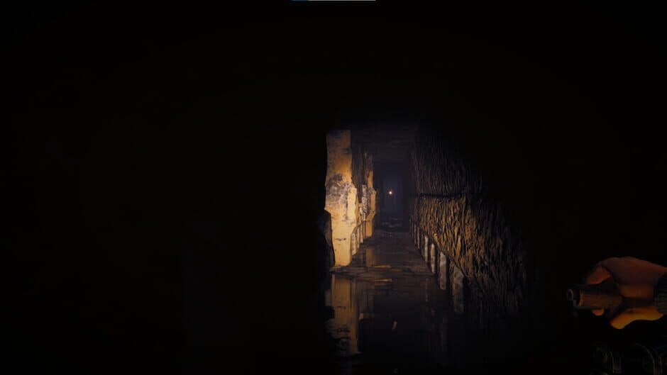 Скриншот 5 из Effigy: The Descent