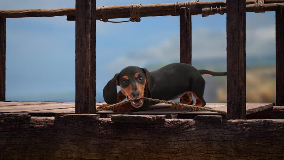 Скриншот 8 из The Lost Dachshund