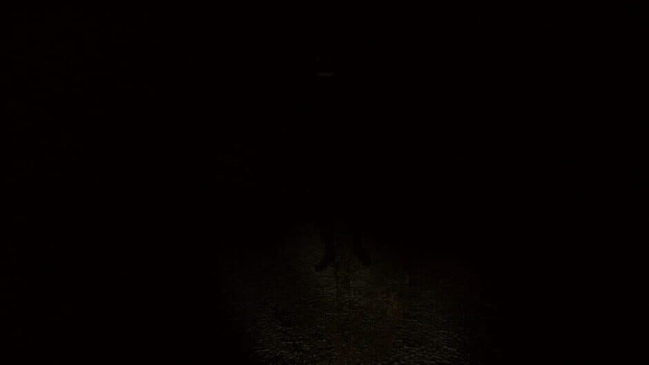 Скриншот 9 из Sciophobia: The Fear of Shadows