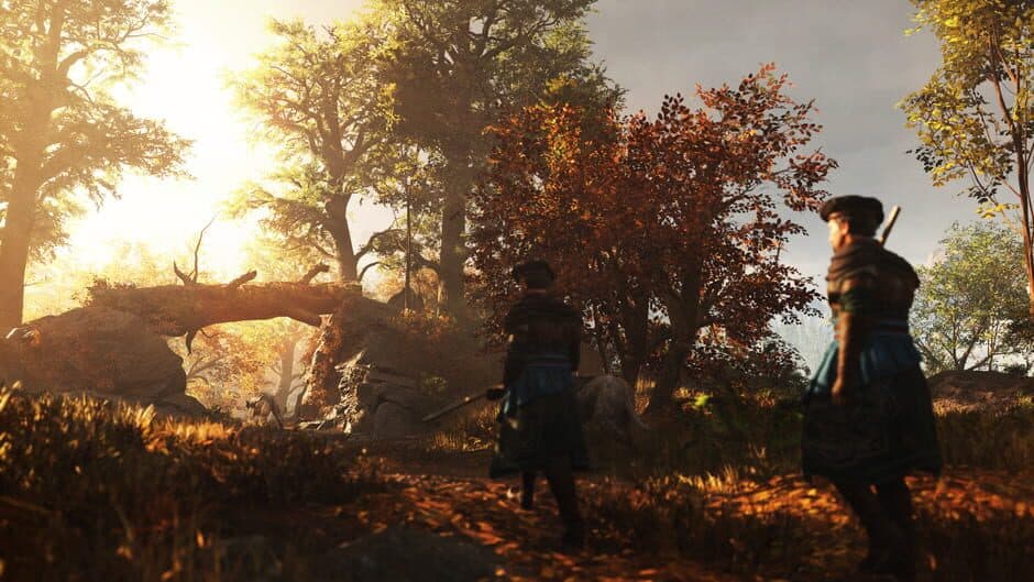 Скриншот 1 из GreedFall: The Dying World