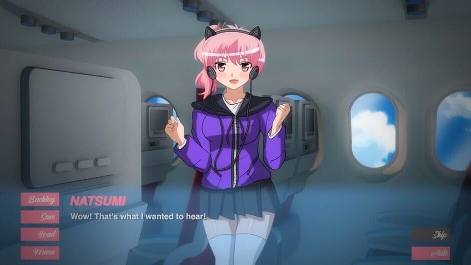 Скриншот 1 из Pleasure Airlines