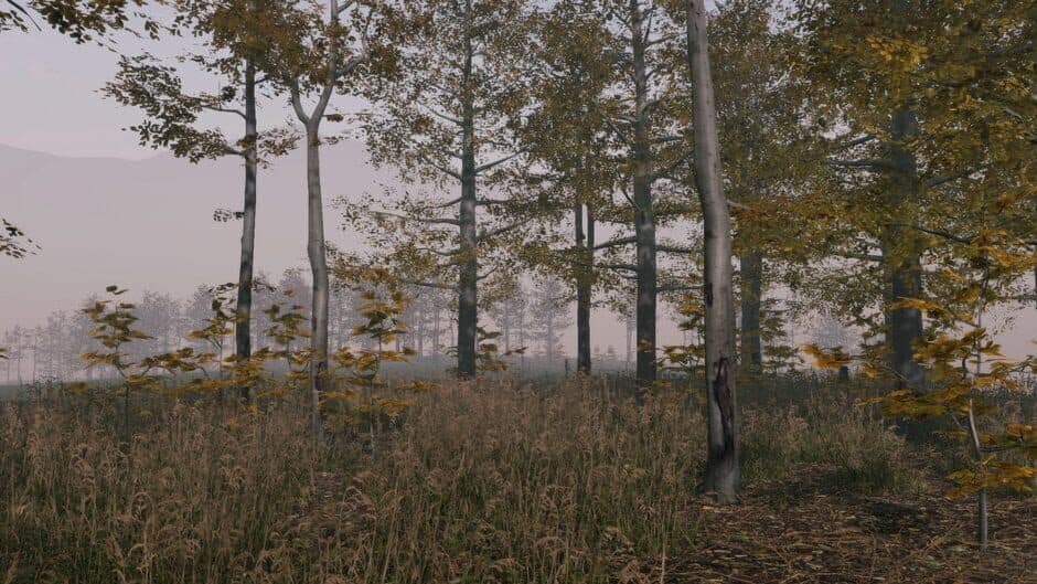 Скриншот 4 из Pro Deer Hunting: Out West