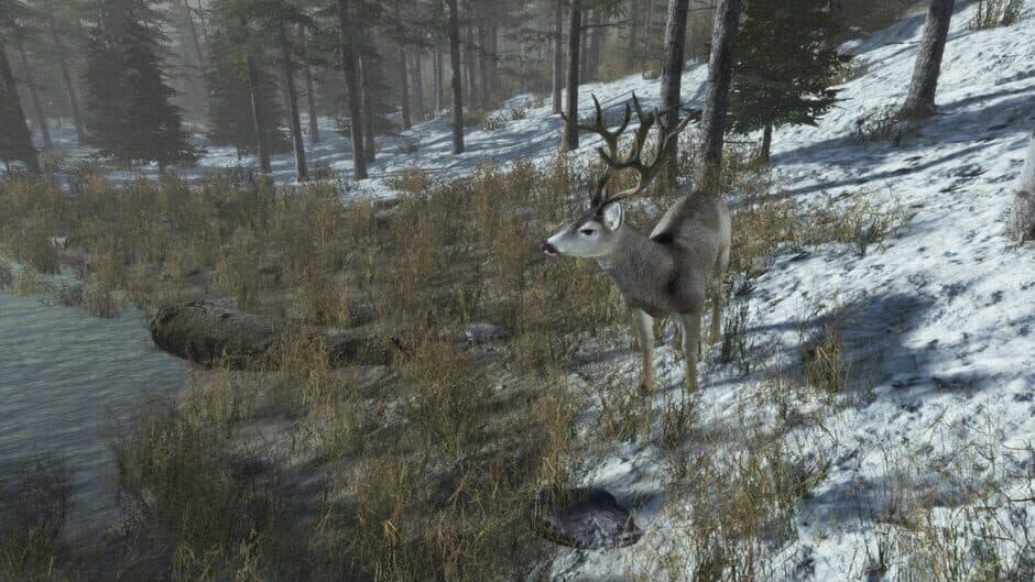 Скриншот 5 из Pro Deer Hunting: Out West