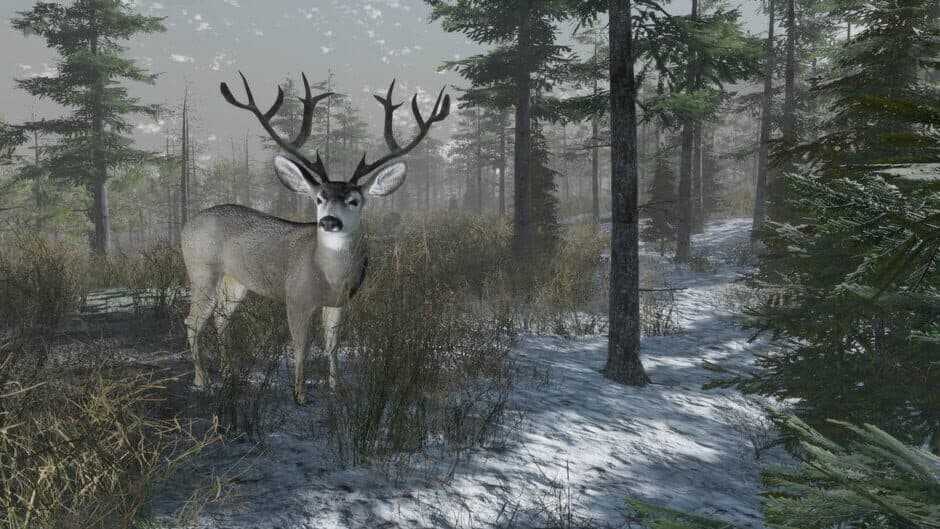 Скриншот 8 из Pro Deer Hunting: Out West