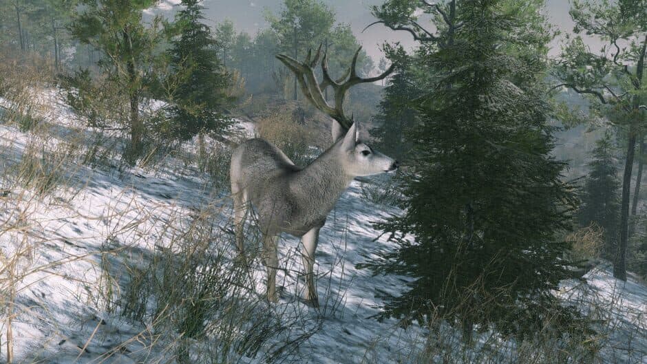 Скриншот 1 из Pro Deer Hunting: Out West
