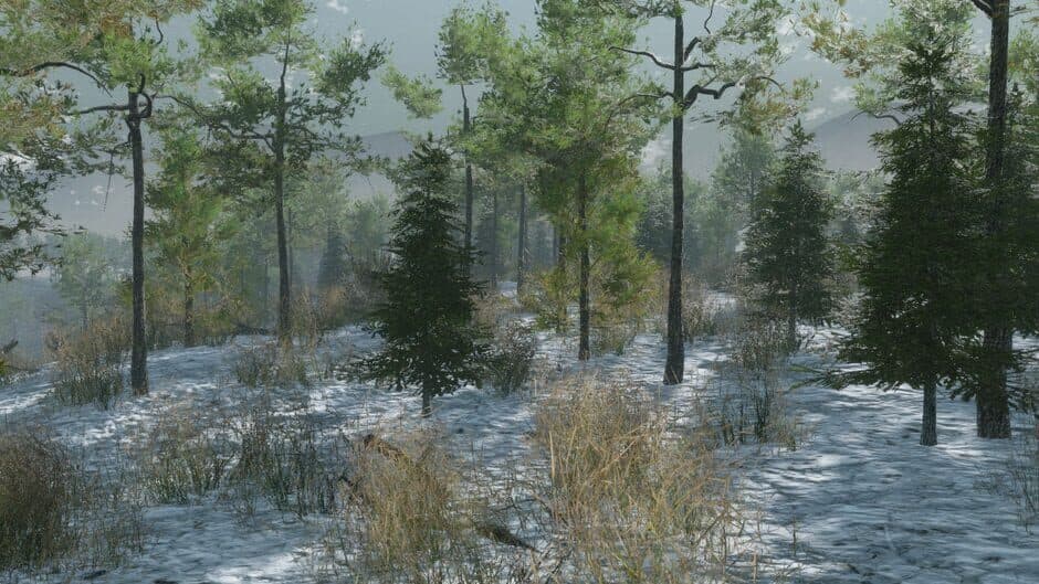Скриншот 9 из Pro Deer Hunting: Out West