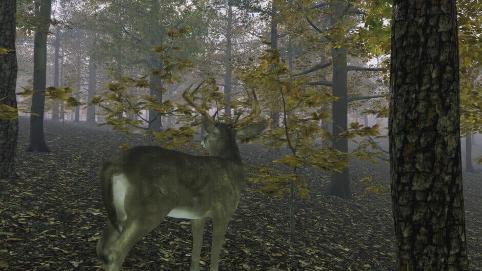 Скриншот 10 из Pro Deer Hunting: Out West