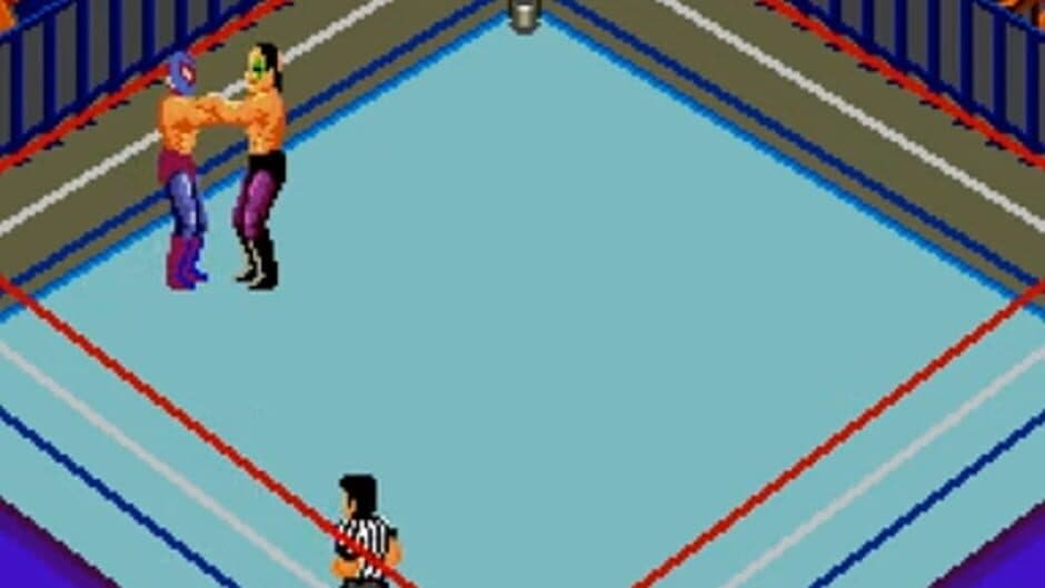 Скриншот 3 из Fire Pro Wrestling: Combination Tag