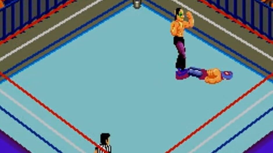 Скриншот 2 из Fire Pro Wrestling: Combination Tag