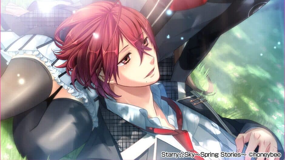 Скриншот 3 из Starry Sky: Spring Stories