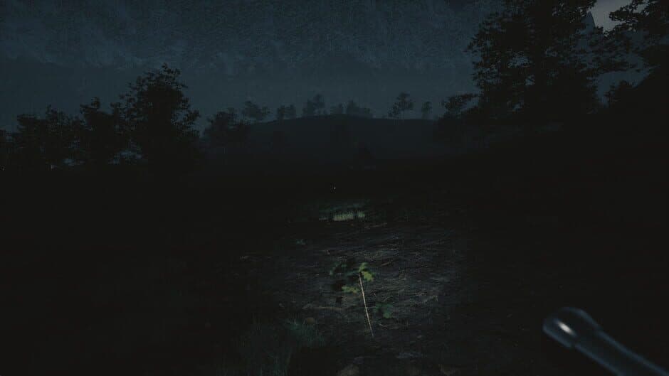 Скриншот 4 из Tales From Hoia Baciu Forest