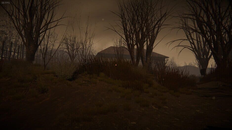 Скриншот 3 из Crazyness: Weird Village