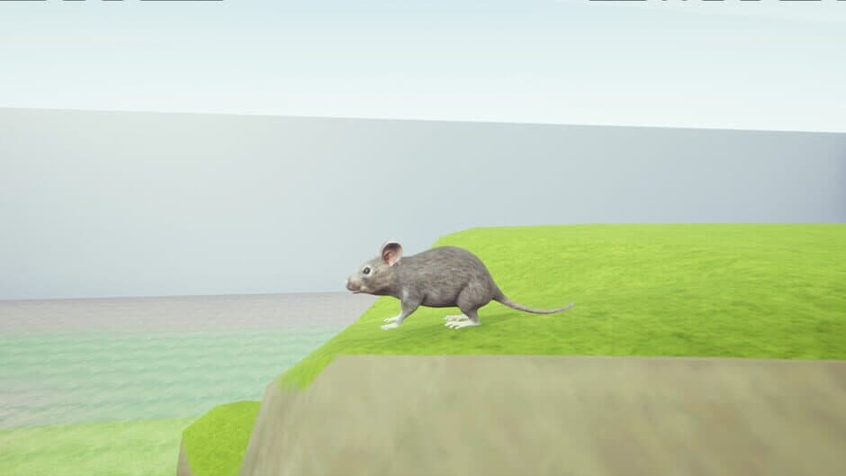 Скриншот 1 из Rat Memory