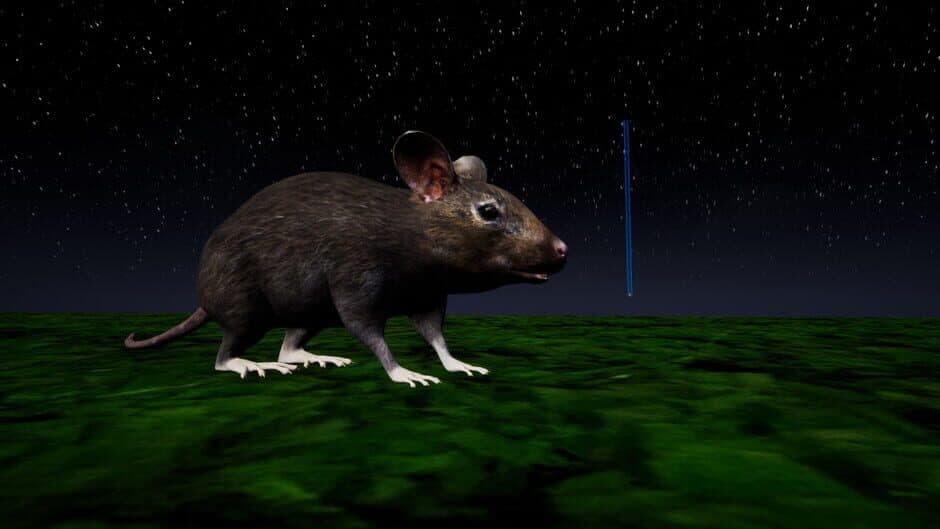 Скриншот 2 из Rat Memory