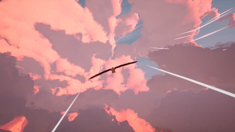 Скриншот 5 из Toroa: Skycall