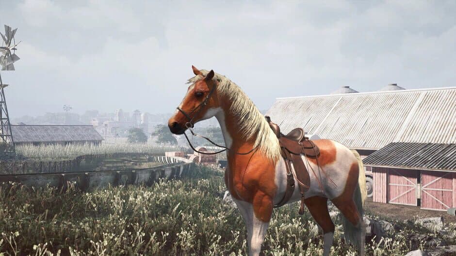 Скриншот 7 из Horse Shelter 2022